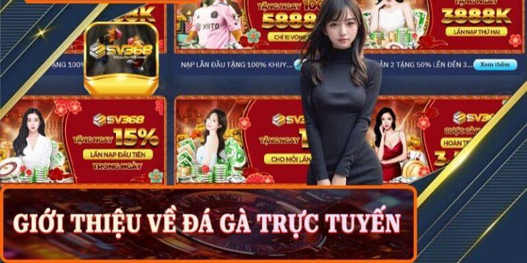 Khám phá Thapthanh Ta La: Nền tảng cá cược đáng tin cậy và hấp dẫn!