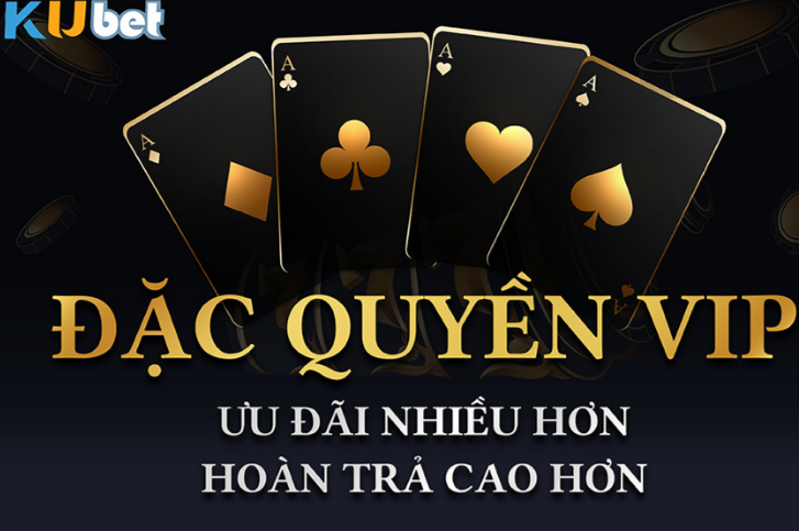 Phân tích chi tiết tỷ lệ C1 cho mùa giải năm nay